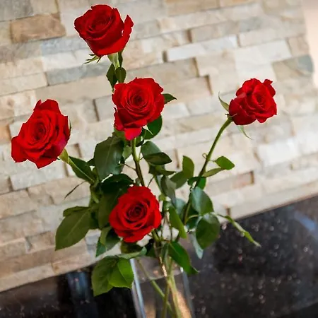 Bergheimat Apartment *