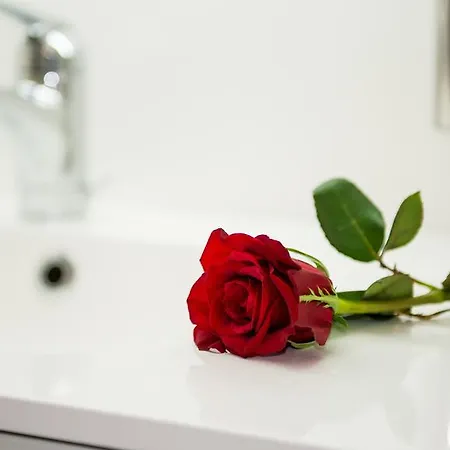 Apartment Bergheimat *